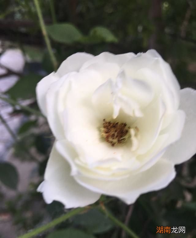 情感专家真的懂感情吗