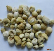 农村栽种半夏价值 种植半夏一亩地大概利润多少钱