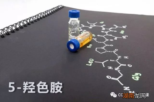 名人情感语录经典短句