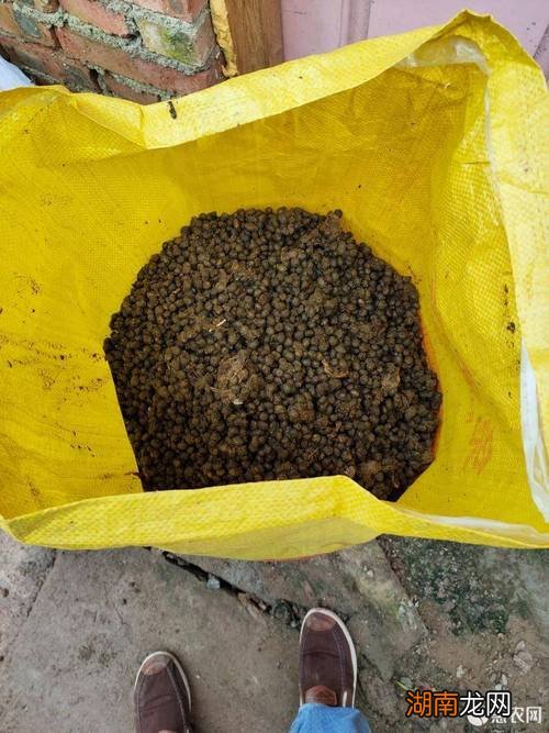 兔子粪怎么发酵做肥料