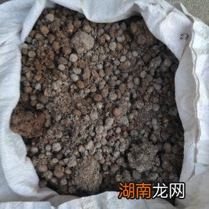 兔子粪怎么发酵做肥料