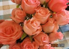 玫瑰花怎么保存成干花不发黑不变色