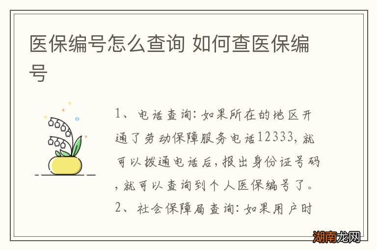 医保编号怎么查询 如何查医保编号