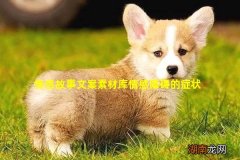 情感故事文案素材库情感障碍的症状