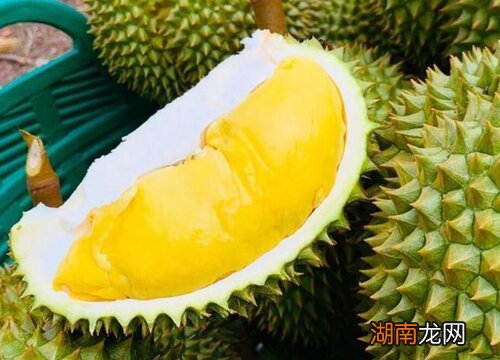 榴莲什么时候成熟上市 榴莲多久成熟一次