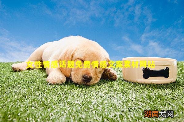 女性情感话题免费情感文案素材网站