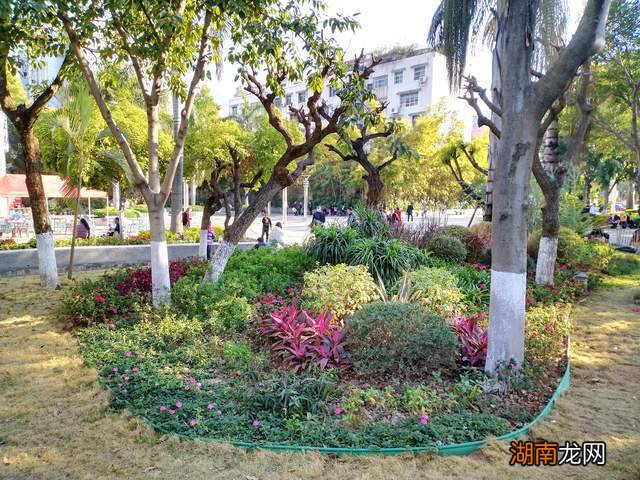 热门情感话题大全