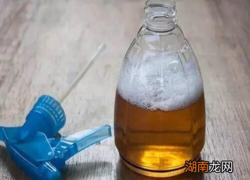 家庭种菜除虫小妙招