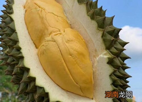 榴莲怎么样才算熟了 榴莲怎么看熟不熟