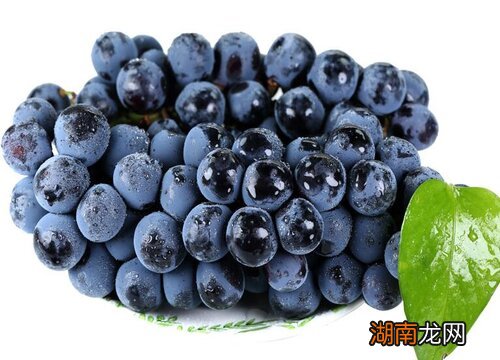 目前公认好吃又甜的葡萄品种 葡萄什么品种最甜最好吃