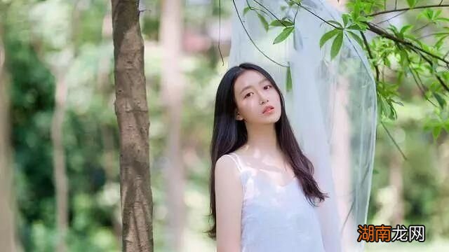 简奥斯汀理智与情感