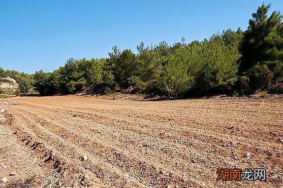 具体换算方法 45亩等于多少平方米