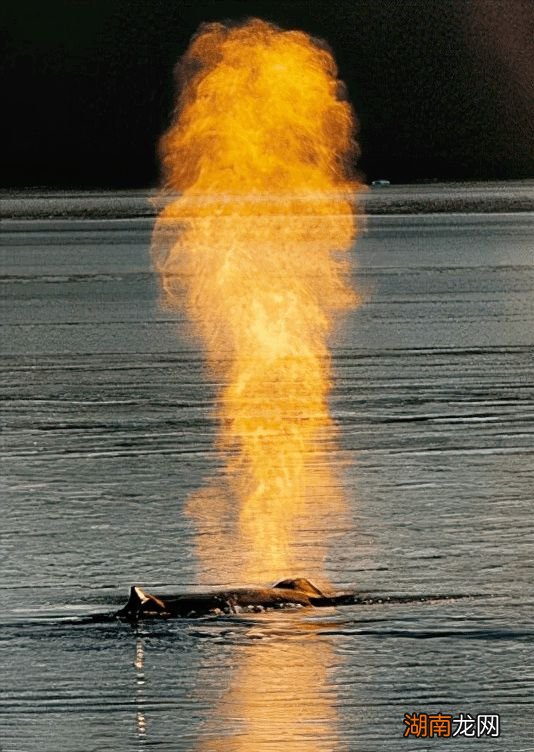 情感分为几种方面婚姻感悟经典心情说说