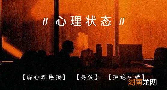 什么叫感情理智与情感 为你着迷