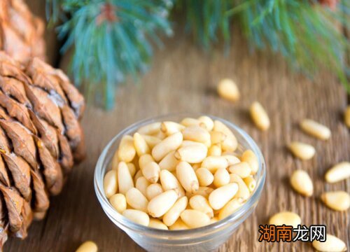 图片对比 巴西松子和东北松子的区别在哪里