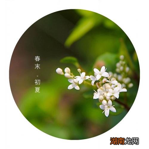 一般春末初夏是几月 初夏是几月份开始