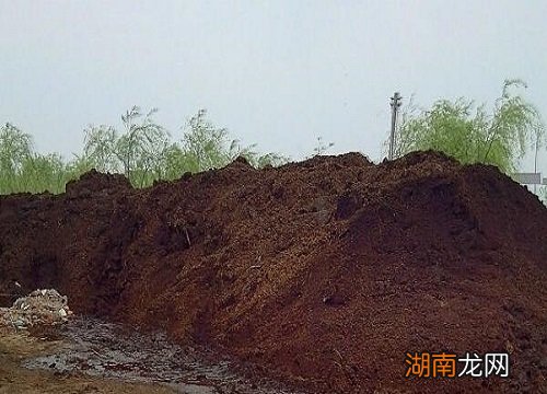 复合肥放入土内多久后才可以种菜 复合肥拌土后几天能撒种子