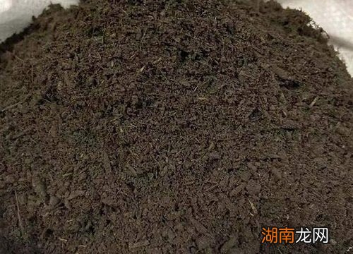 复合肥放入土内多久后才可以种菜 复合肥拌土后几天能撒种子