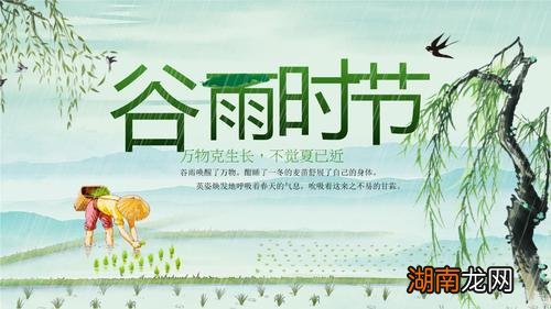 谷雨节气的由来和风俗 谷雨节气的习俗小知识