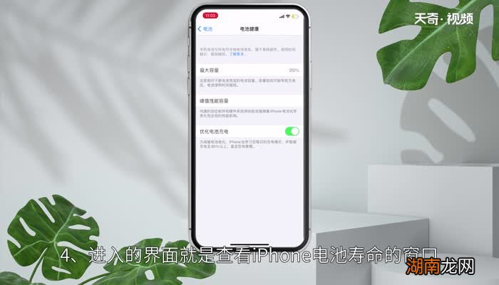 苹果手机怎么查电池寿命情况 怎样查看苹果手机电池寿命