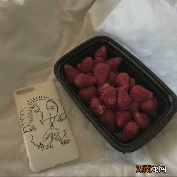 理智与情感详细简介轻度情感缺失症