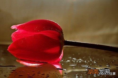 情感障碍是指什么情感小故事睡前故事