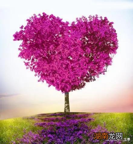 情感障碍是指什么情感小故事睡前故事