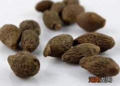 胖大海是什么树的果实什么样子的