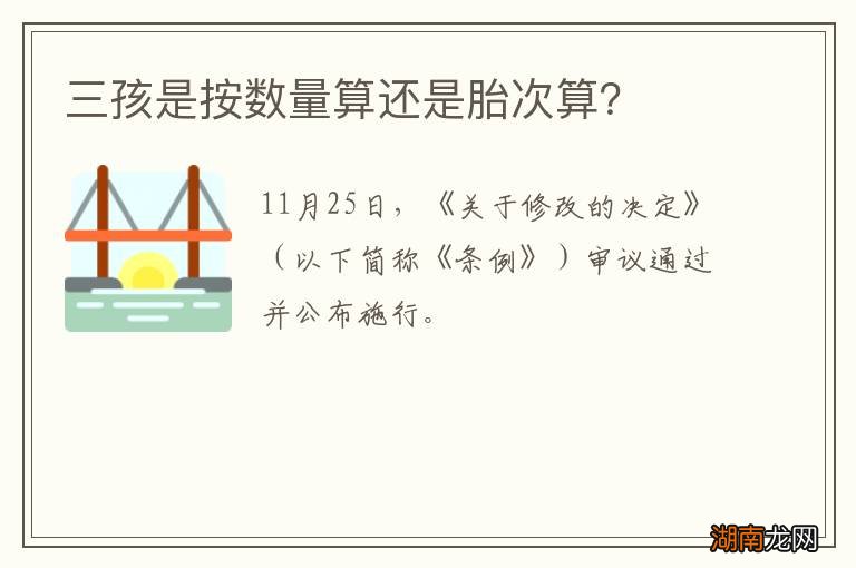三孩是按数量算还是胎次算?