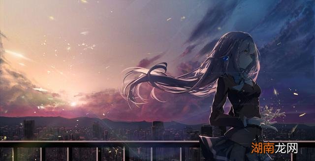 女人婚姻情感语录