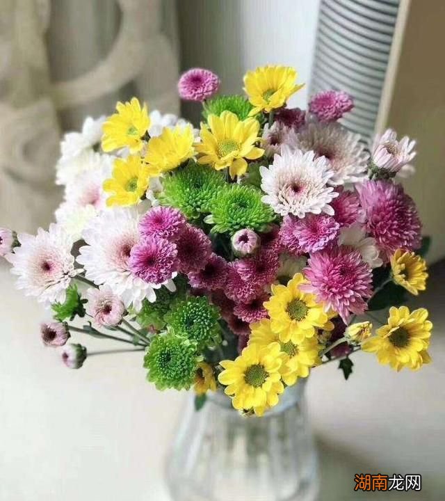 情感文本稿子短篇劳动情感的定义