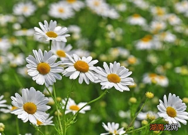 情感文本稿子短篇劳动情感的定义