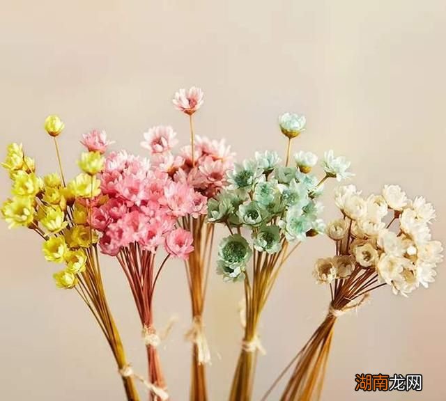 情感文本稿子短篇劳动情感的定义