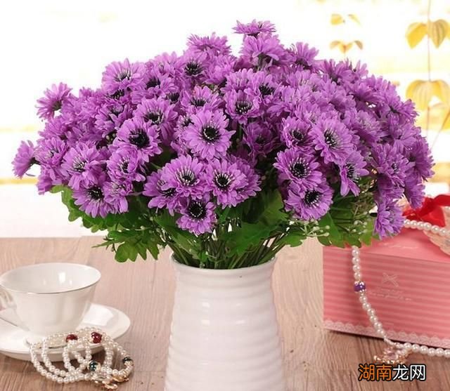 情感文本稿子短篇劳动情感的定义