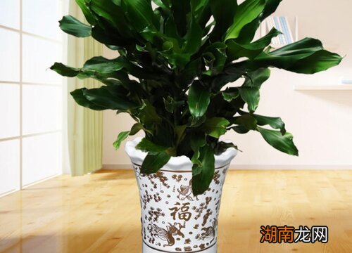 螺纹铁有什么风水禁忌 螺纹铁的寓意和风水