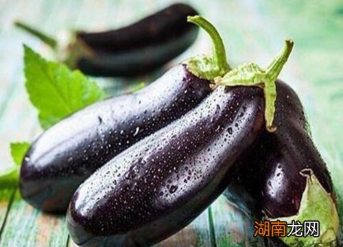 秋天什么蔬菜成熟的最多