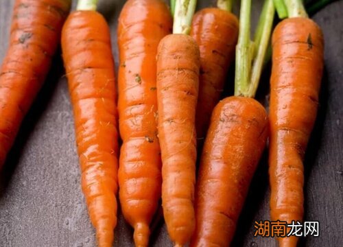 秋天什么蔬菜成熟的最多