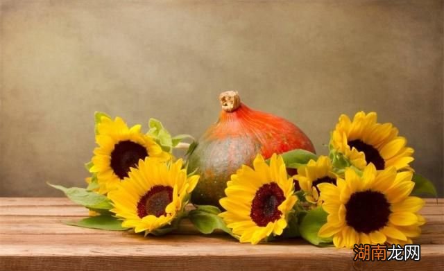 珍惜一辈子的情感语录情感百度百科