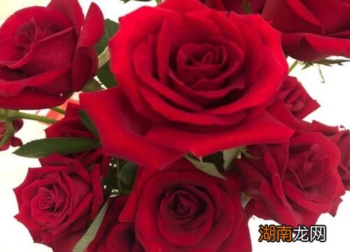 没有确定关系送花给她合适吗