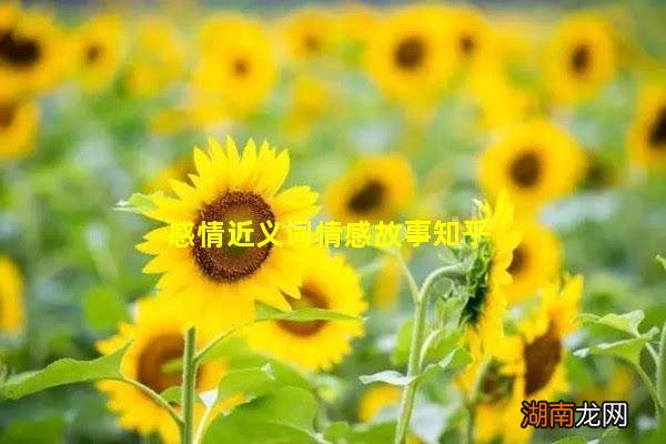 感情近义词情感故事知乎