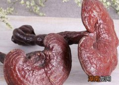 灵芝结构品种分类 灵芝是什么样子图片