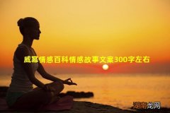 威幂情感百科情感故事文案300字左右