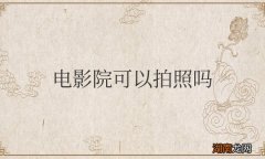 电影院可以拍照吗,以及录一小段是违法的吗