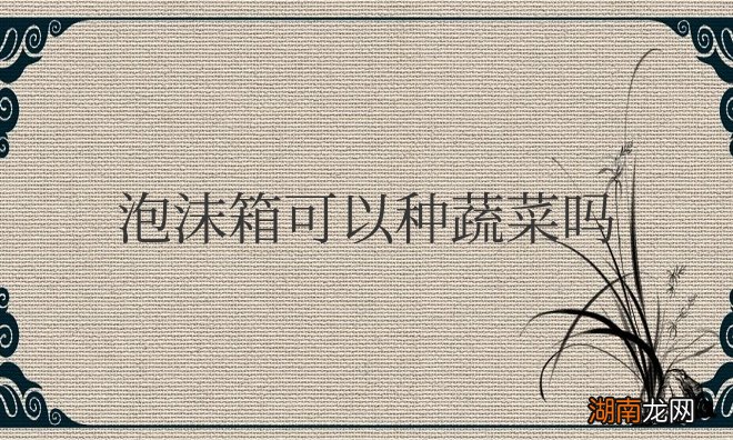 泡沫箱可以种蔬菜吗有毒吗