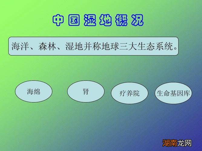 全球三大生态系统主要指哪三大