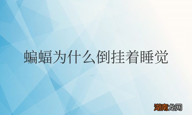 蝙蝠为什么倒挂着睡觉不掉