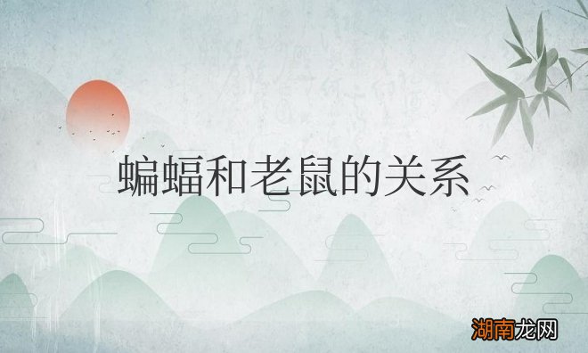 蝙蝠和老鼠的关系，属于同宗吗