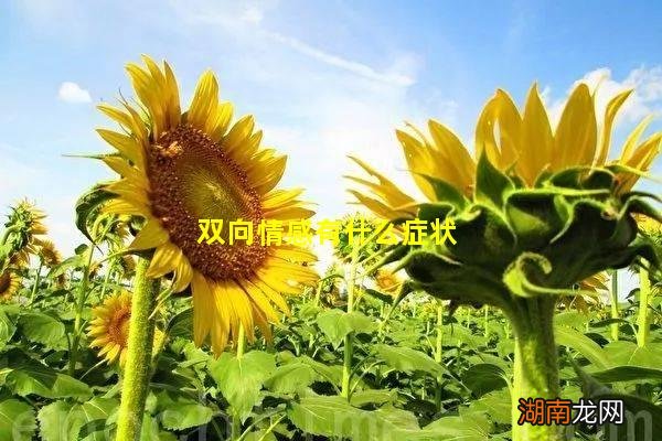 双向情感有什么症状