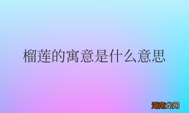 榴莲的寓意是什么意思和象征