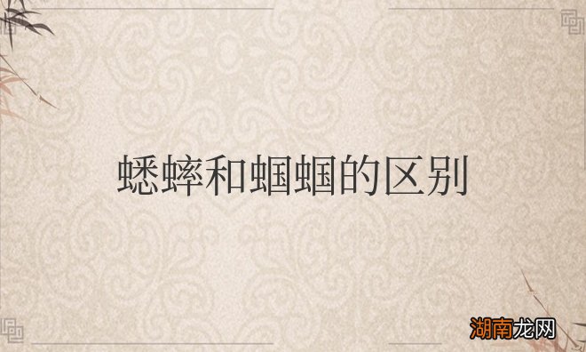 蟋蟀和蝈蝈的区别图片